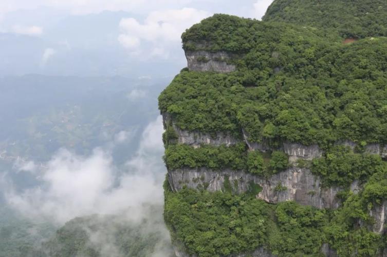 龙头山|“观云海赏奇石，漫步绝壁栈道，打卡超长电梯” 省力又好玩，春游正当时~